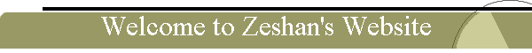 Welcome to Zeshan's Website